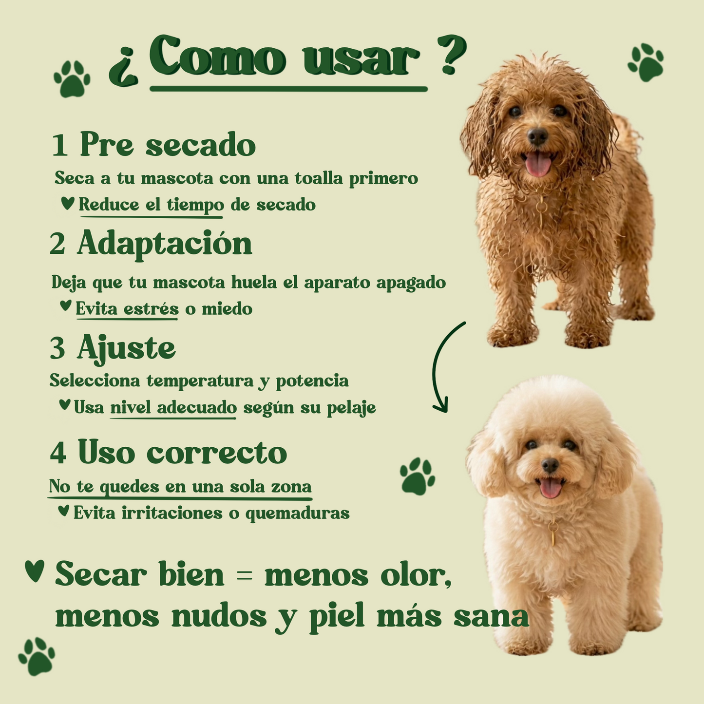 Secador amigable para tu mascota 2 en 1